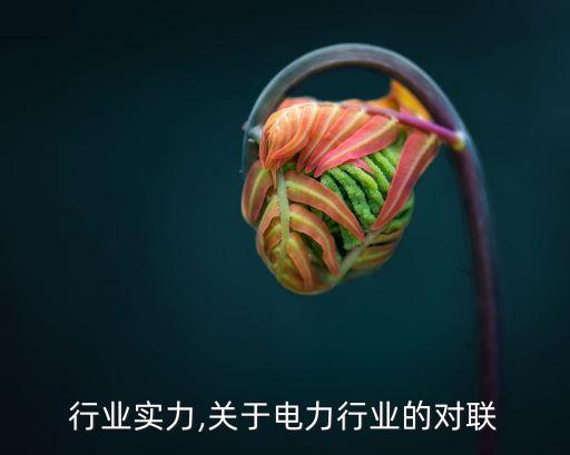 电力行业实力,关于电力行业的对联