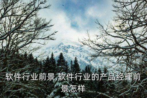 软件行业前景,软件行业的产品经理前景怎样