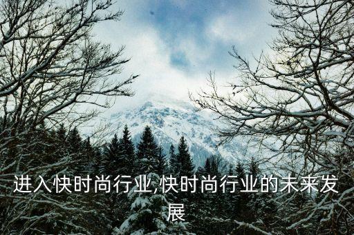 如何进入快时尚行业,快时尚行业的未来发展