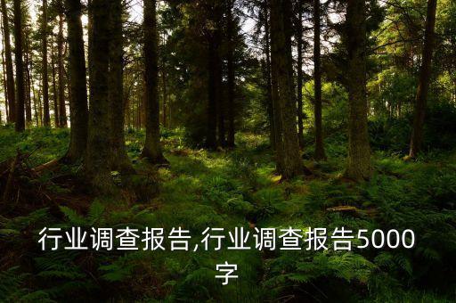 行业调查报告,行业调查报告5000字