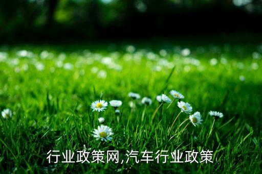 中国行业政策网,汽车行业政策