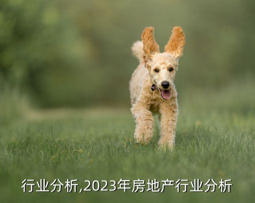 传动行业分析,2023年房地产行业分析