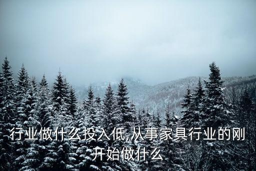 家具行业做什么投入低,从事家具行业的刚开始做什么