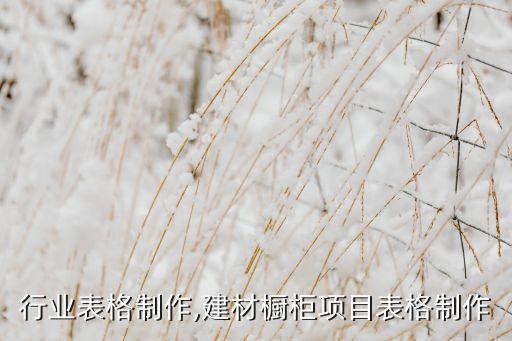 行业表格制作,建材橱柜项目表格制作