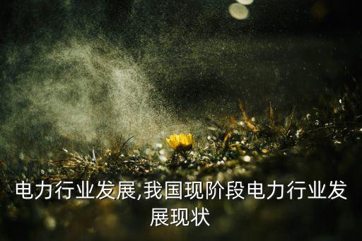 沙特电力行业发展,我国现阶段电力行业发展现状