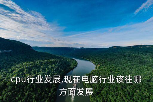 电脑cpu行业发展,现在电脑行业该往哪方面发展