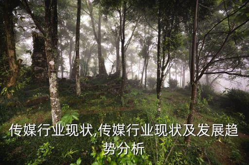传媒行业现状,传媒行业现状及发展趋势分析