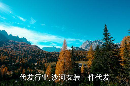 沙河代发行业,沙河女装一件代发