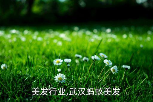 美发行业,武汉蚂蚁美发