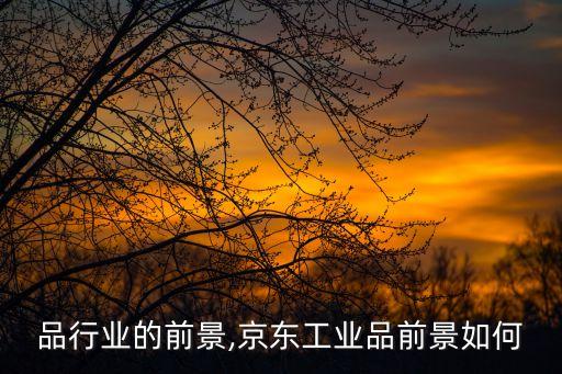 品行业的前景,京东工业品前景如何