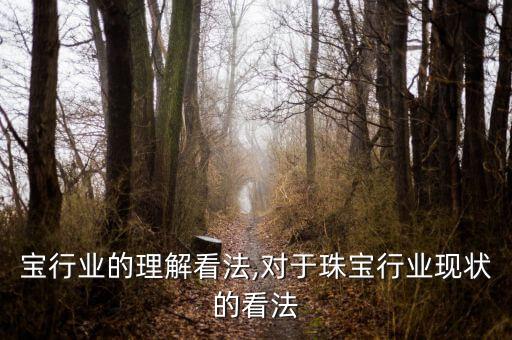 对珠宝行业的理解看法,对于珠宝行业现状的看法