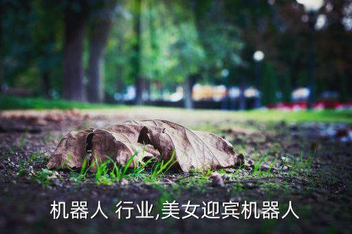迎宾机器人 行业,美女迎宾机器人
