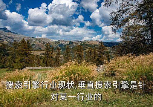 搜索引擎行业现状,垂直搜索引擎是针对某一行业的