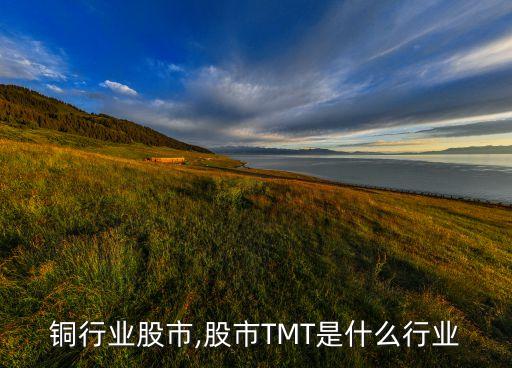 铜行业股市,股市TMT是什么行业