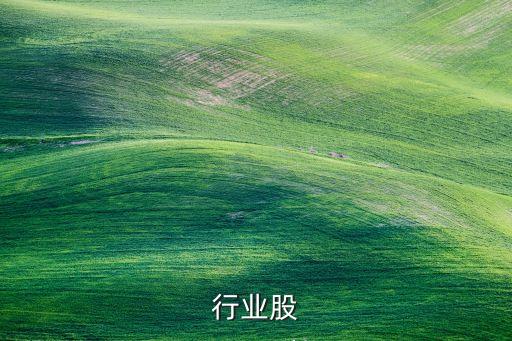 行业股