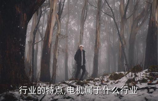 行业的特点,电机属于什么行业