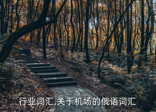 机场行业词汇,关于机场的俄语词汇