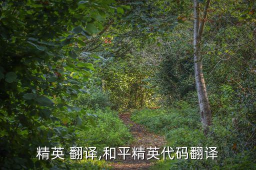 行业精英 翻译,和平精英代码翻译