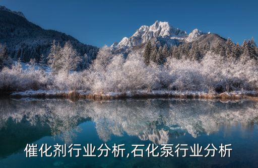催化剂行业分析,石化泵行业分析