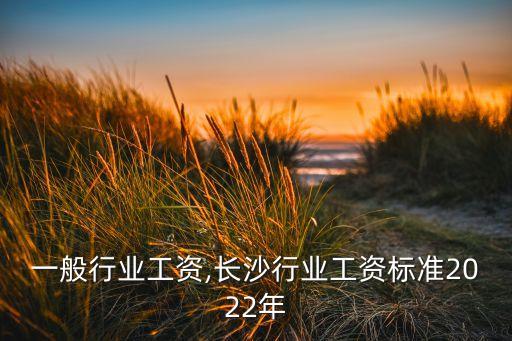 一般行业工资,长沙行业工资标准2022年