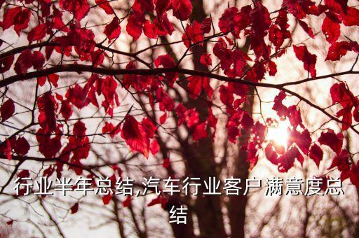 行业半年总结,汽车行业客户满意度总结