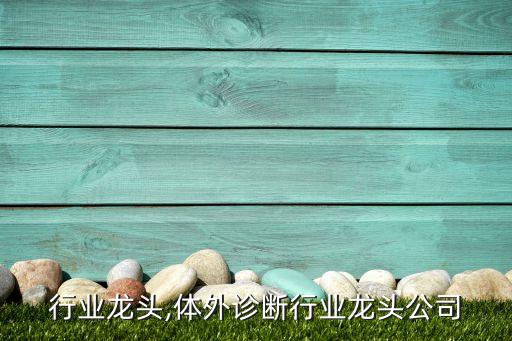 宁波行业龙头,体外诊断行业龙头公司