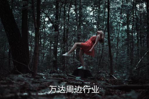 万达周边行业