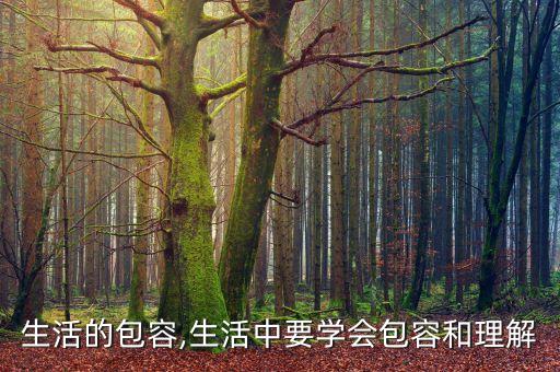 生活的包容,生活中要学会包容和理解