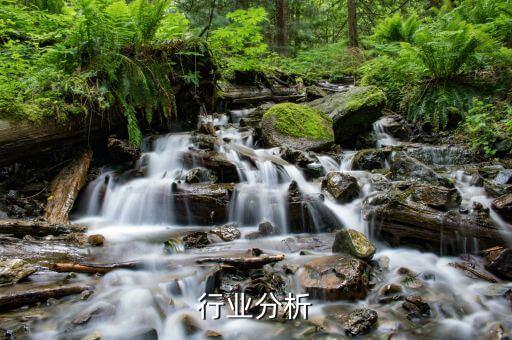 行业分析