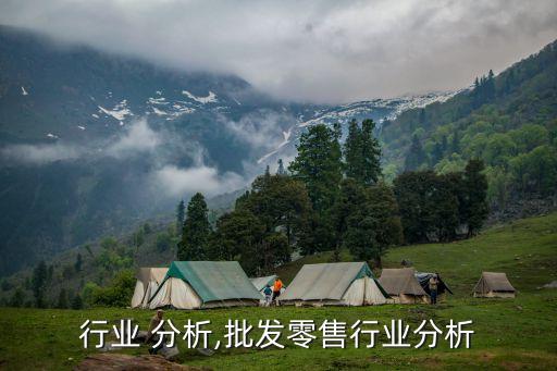 行业 分析,批发零售行业分析