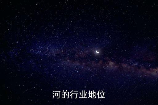 金银河的行业地位