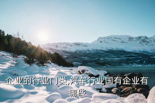 国有企业的行业门类,汽车行业国有企业有哪些