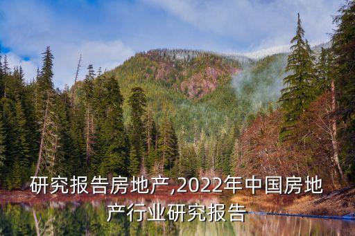 研究报告房地产,2022年中国房地产行业研究报告