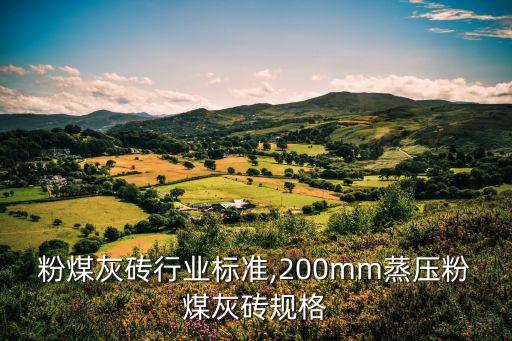 粉煤灰砖行业标准,200mm蒸压粉煤灰砖规格