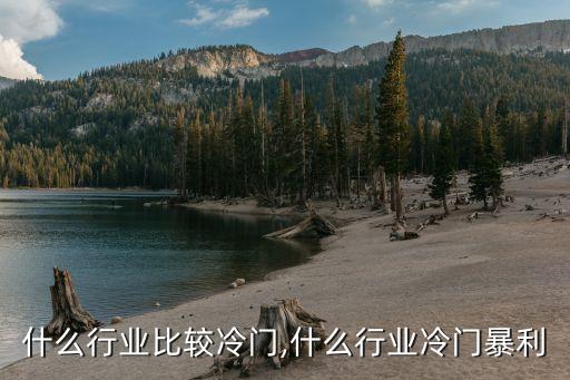 现在什么行业比较冷门,什么行业冷门暴利