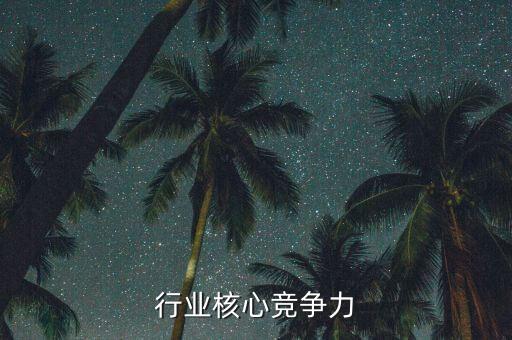 服装行业核心竞争力