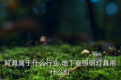 照明灯具属于什么行业,地下室照明灯具用什么灯