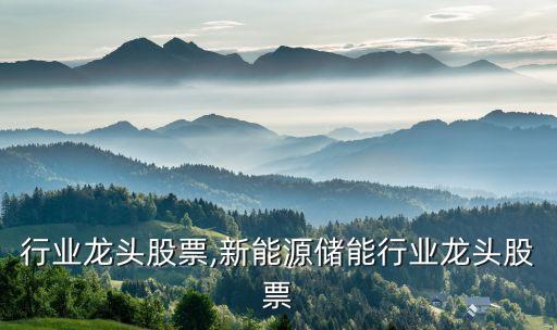 行业龙头股票,新能源储能行业龙头股票