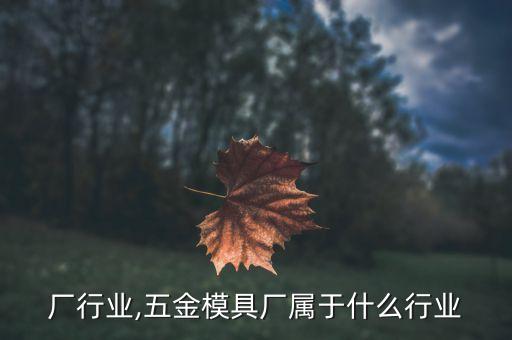 厂行业,五金模具厂属于什么行业