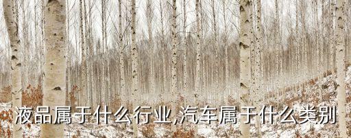 液品属于什么行业,汽车属于什么类别