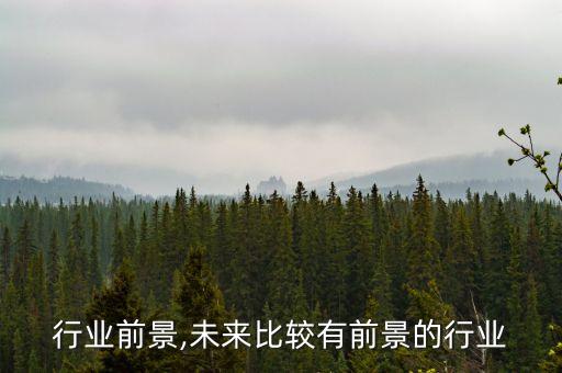 键盘行业前景,未来比较有前景的行业