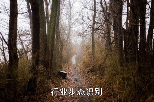安防行业步态识别