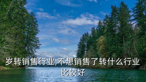 30岁转销售行业,不想销售了转什么行业比较好