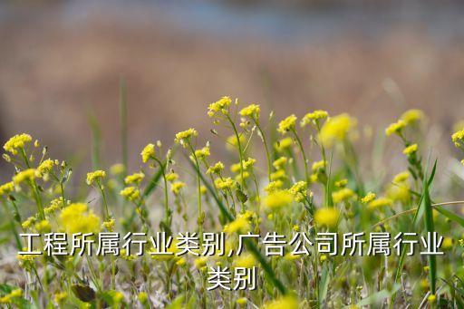 工程所属行业类别,广告公司所属行业类别
