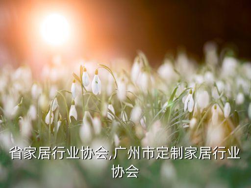 省家居行业协会,广州市定制家居行业协会