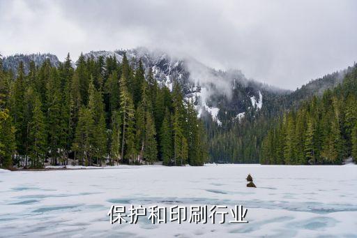 保护和印刷行业