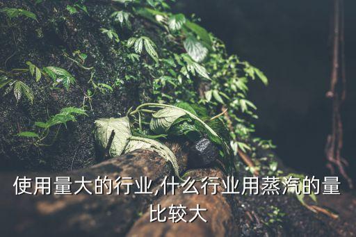 使用量大的行业,什么行业用蒸汽的量比较大
