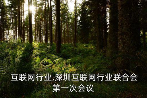  互联网行业,深圳互联网行业联合会第一次会议