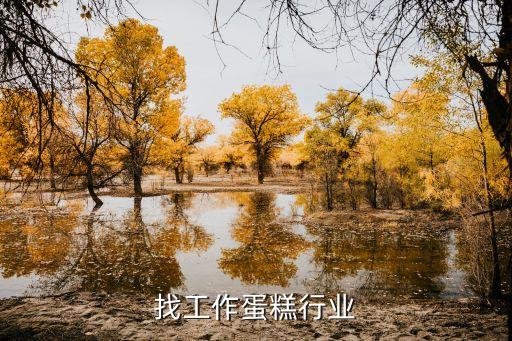 竹溪找工作蛋糕行业