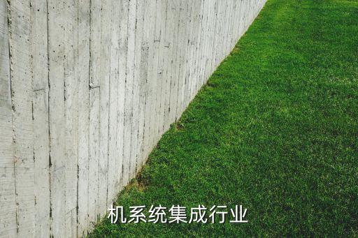 计算机系统集成行业